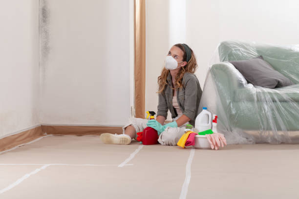Reliable Mold Remediation contractor in Lafayette, TN by WQB Mold Removal